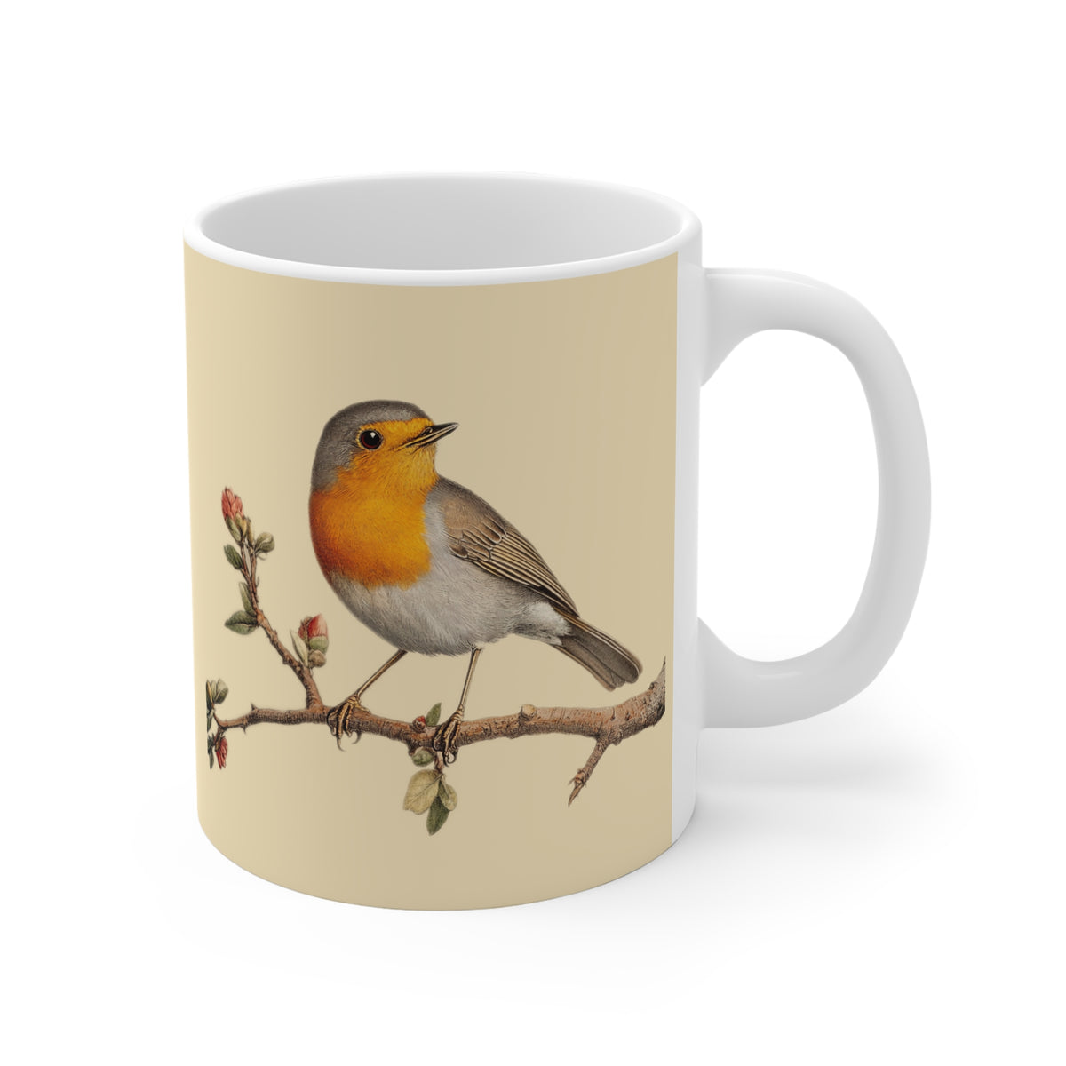 European Robin Mug
